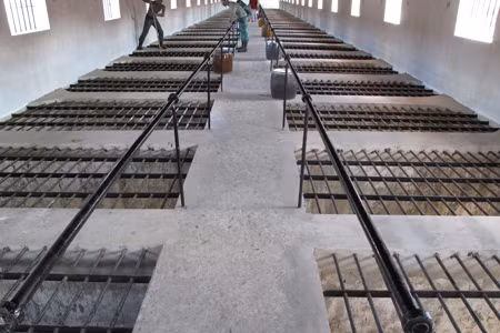 Nhà tù Côn Đảo Nhà tù Côn Đảo do người Pháp xây dựng từ năm 1862 được nhận danh hiệu Hệ thống di tích lịch sử nhà tù trên đảo lớn nhất. Ảnh: Chuồng cọp trong hệ thống nhà tù Côn Đảo (Nguồn: VnExpress).