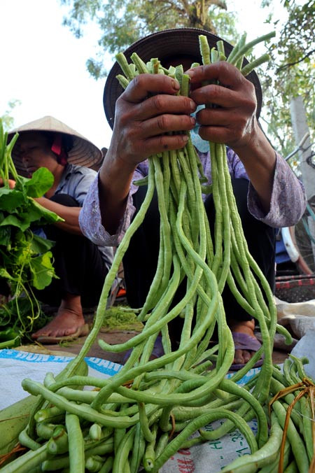 Những người bán rau nơi đây thường tự trồng tại vườn nhà mang đi bán.