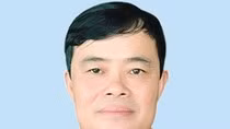 Lãnh đạo mượn xe biển xanh, sao không nhìn gương Trịnh Xuân Thanh? ảnh 2 Lãnh đạo mượn xe biển xanh, sao không nhìn gương Trịnh Xuân Thanh? ảnh 2