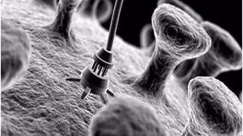 6. Công nghệ nano. Công nghệ nano là ngành công nghệ liên quan đến việc thao tác trên phạm vi nguyên tử hay phân tử, đặc biệt là thiết kế, xây dựng thiết bị kính hiển vi. Những người có bằng công nghệ nano không chỉ được đào tạo quan sát và nghiên cứu vật thể mắt thường không nhìn thấy được mà còn học cách xây dựng sản phẩm mang tính cách mạng: công nghệ mới, cơ sở hạ tầng mới, thậm chí là nói chuyện với robot. Các nhà công nghệ nano giúp chúng ta tạo ra một hành tinh sạch hơn, cuộc sống dễ chịu hơn hay bất cứ thứ gì khác có thể làm cho cuộc sống tốt đẹp hơn. Từ việc phát hiện rệp làm tổ trên giường của chúng ta, đến biết được những gì cần thiết để phóng tên lửa vào trong không gian, cơ hội cho các nhà công nghệ nano luôn rộng mở.