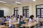 Hà Nội cho Công ty cổ phần Giáo dục Kinh Đô thuê 11.722m² đất để thực hiện Dự án Xây dựng trường