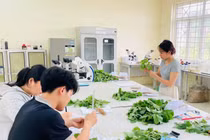 CSGDĐH nói gì về đề xuất miễn học phí ngành nông, lâm, thủy sản?