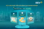 BIDV cung cấp giải pháp tiền gửi vượt trội cho doanh nghiệp
