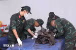 Đã quy tập được 100 hài cốt liệt sỹ tại Công viên Lê Thị Riêng