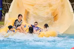 Sun World Ha Nam triển khai chính sách giá “siêu ưu đãi”: đồng giá vé chỉ 150.000 đồng dành cho mọi du khách.