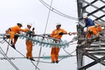 Hoàn thành thay thế cách điện đường dây 220kV mạch kép Thái Bình – Tiền Hải – Trực Ninh