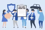 Kỷ nguyên vươn mình: Thời điểm vàng cho ngành bảo hiểm nhân thọ Việt Nam