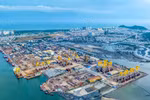 Petrovietnam tiên phong thúc đẩy hợp tác, nâng cao năng lực cạnh tranh quốc gia
