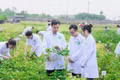 Từ nghịch lý thị trường đến kiến nghị thể chế quản trị đại học trong đào tạo nhân lực nông nghiệp