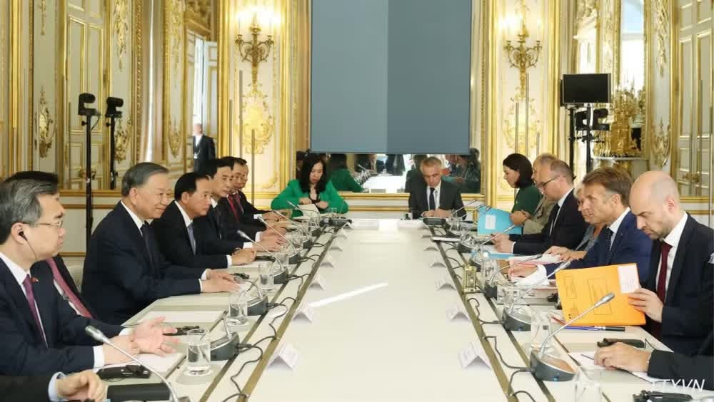 vna-potal-tong-bi-thu-chu-tich-nuoc-to-lam-hoi-dam-voi-tong-thong-phap-emmanuel-macron.jpg