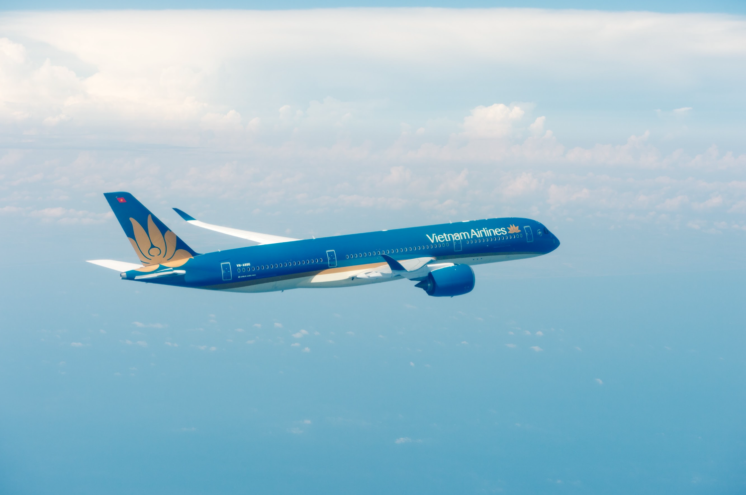 1-vietnam-airlines-tiep-tuc-thuoc-top-50-doanh-nghiep-dong-gop-ngan-sach-lon-nhat-viet-nam.png