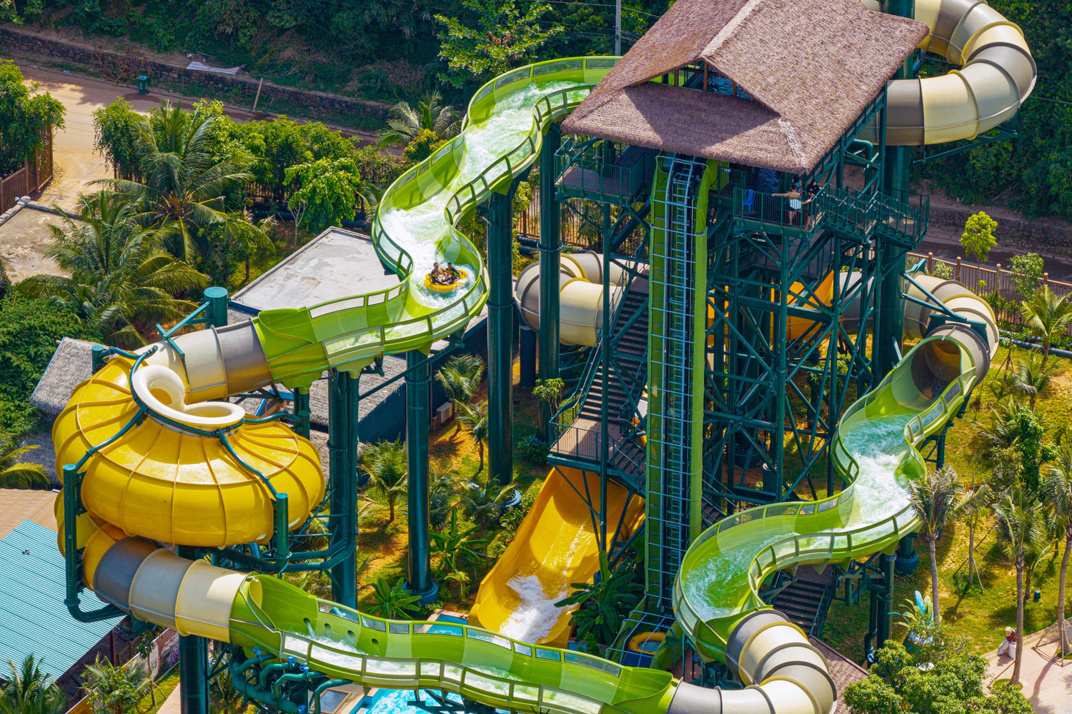 sunworld-hon-thom3.jpg