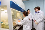 USTH và những ngành học "khó bị thay thế" trong thời đại AI