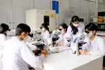 Khi Hội đồng trường chấm dứt hoạt động, cần áp dụng ngay mô hình quản trị đại học mới