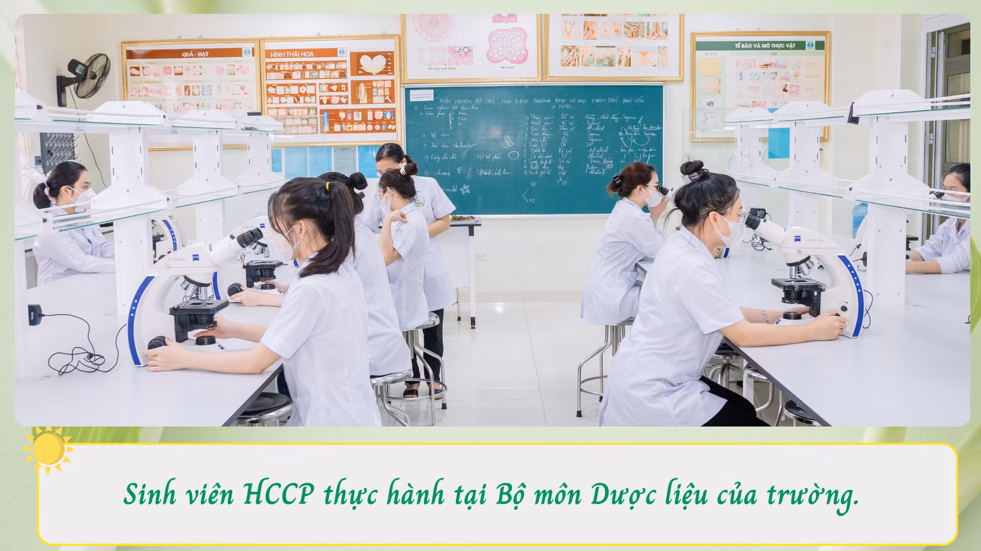 hccp-2.png