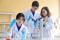 Hội đồng Y khoa Quốc gia công bố cấu trúc, ma trận đề kiểm tra ĐGNL hành nghề khám, chữa bệnh