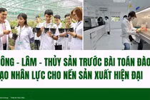Lĩnh vực Nông - Lâm - Thủy sản trước bài toán đào tạo nhân lực cho nền sản xuất hiện đại