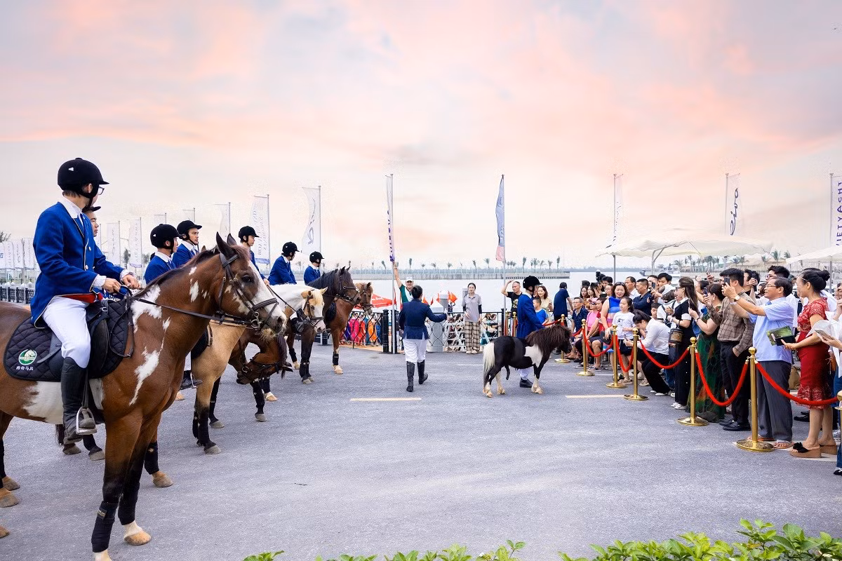 a3.jpg