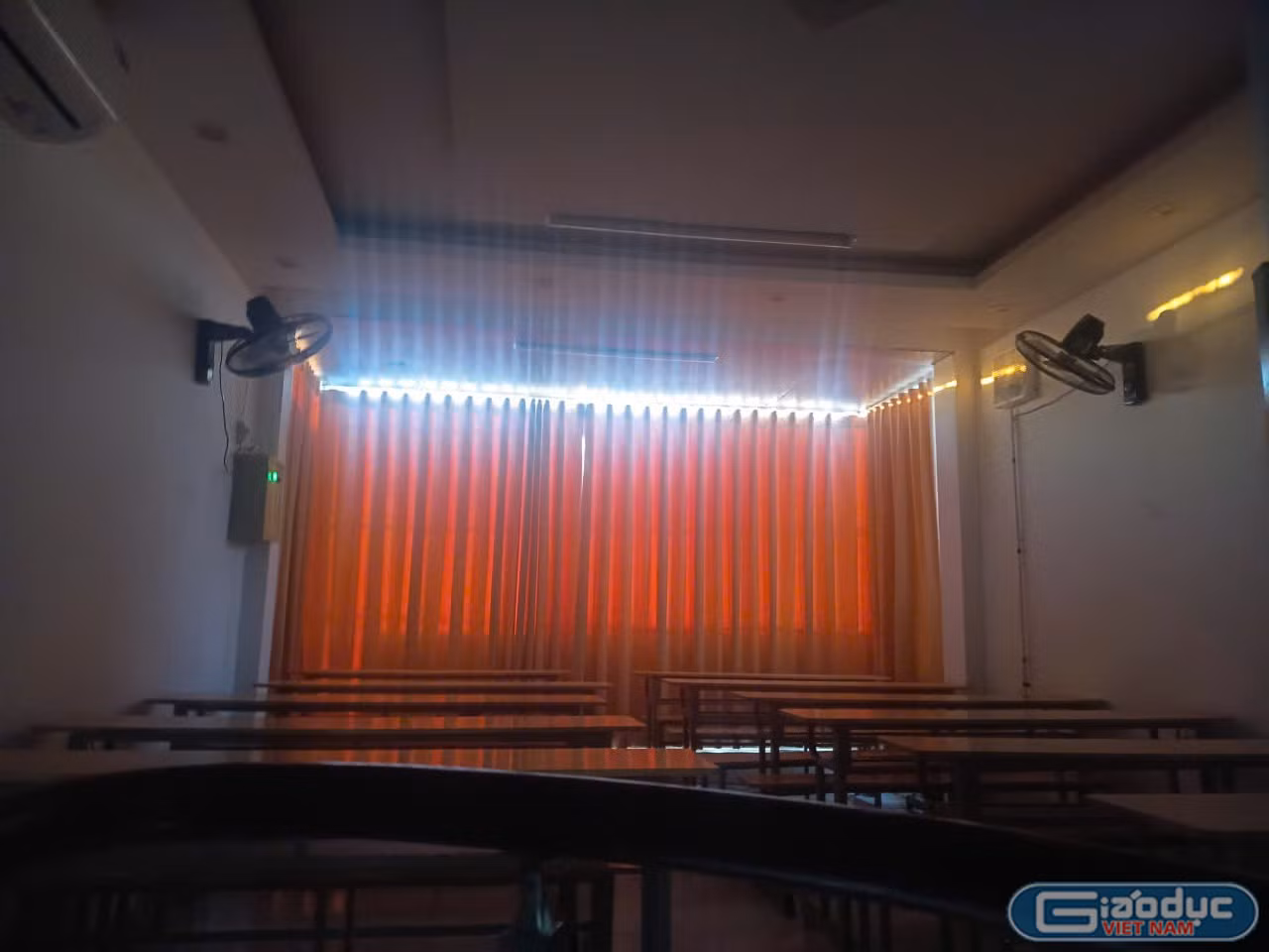 gdvn_anh-ngu-bee-plus2.jpg