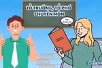 Bổ nhiệm tổ trưởng chuyên môn có nhất thiết phải theo quy trình 4 bước như hiệu trưởng?