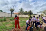 Giáo viên và học sinh cùng làm