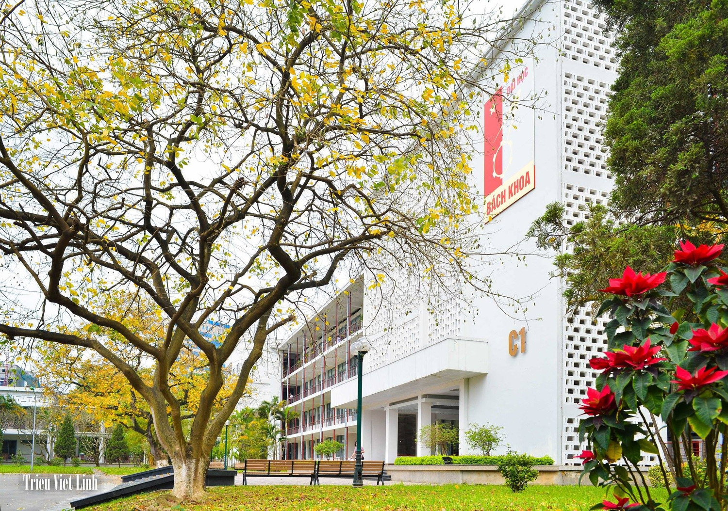 Một góc khuôn viên Đại học Bách khoa Hà Nội. Ảnh: HUST