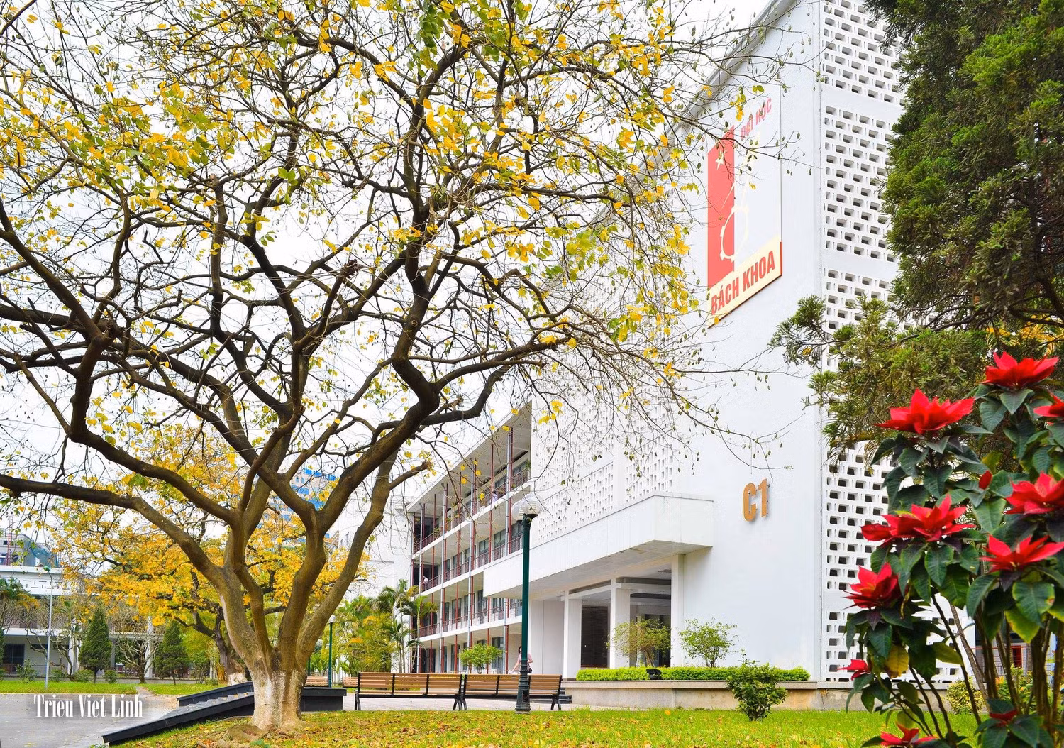 Một góc khuôn viên Đại học Bách khoa Hà Nội. Ảnh: HUST