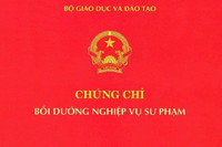 Không có chứng chỉ bồi dưỡng nghiệp vụ sư phạm, Phó hiệu trưởng xuống hạng III