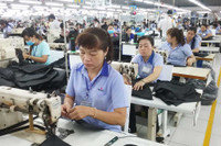 Lao động nữ có thể được điều chỉnh tỷ lệ hưởng lương hưu theo lộ trình