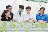 Cần đẩy mạnh đầu tư cho các trường đại học theo hướng đặt hàng đào tạo