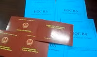 Đạo đức công vụ - chuyện “bằng giả” và “quan thật”
