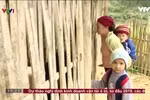 Bỏ Ban phụ huynh, Hiệu trưởng vẫn còn lòng tham, lạm thu có hết không?