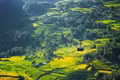 Fansipan - Từ điểm trekking của “phượt thủ” đến ngôi vị dẫn đầu lượng đặt chỗ tại Việt Nam