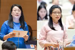 Cần thêm ưu đãi miễn, giảm tiền sử dụng, thuê đất để GD tư "chia lửa" GD công