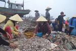 Ảnh: Kinh hoàng cảnh tượng rác thải tại xã biển Ngư Lộc