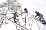 VNE-NPT nói làm tượng đài là đạo lý "uống nước nhớ nguồn" của dân tộc