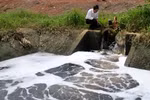 Phạt vi phạm vì đổ rác, môi trường bị phạt đến 2 tỷ đồng