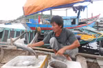Người dân trắng tay bởi hàng tấn cá chết bất thường chỉ trong một đêm