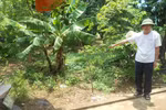 Người chồng vũ phu ra tay tàn độc sát hại vợ trước mặt cán bộ Toà án