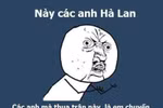 Hà Lan thua thảm, người Việt chuyển sang dùng sữa... cô gái Đan Mạch