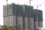 Đầu năm, Đại Thanh "mở hàng” căn hộ... không sổ đỏ