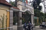 Phụ huynh kêu trường Hồng Bàng thi xếp lớp, trường nói chỉ khảo sát chất lượng