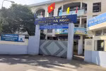 Một giáo viên Trường tiểu học Nguyễn Bá Ngọc bất ngờ bị cắt lớp giảng dạy
