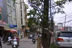 Góc ảnh độc giả: Cây xanh, cột điện mọc “vô duyên” trên nhiều phố HN
