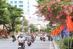 Đà Nẵng lắp hệ thống camera giám sát an ninh, giao thông