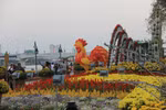 Đà Nẵng rực rỡ chào Xuân 2017