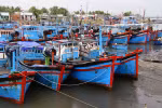 TP.HCM cấm tàu thuyền xuất bến đề phòng áp thấp nhiệt đới