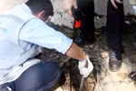 Diễn biến mới trong vụ “mặt đường phát nổ" ở TP Hồ Chí Minh