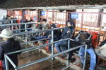 Cảnh người dân phải “mỏi mòn” thức trắng đêm chờ đợi xin ấn đền Trần