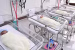 Đồng tình cho mang thai hộ, không can thiệp hôn nhân đồng giới